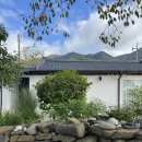 담애 | 충남 대천 보령 감성숙소 6인 가족여행 독채 개별바베큐 자쿠지 담애 다녀온 솔직후기