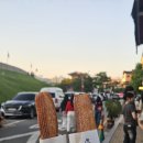 수원 카페) 츄플러스 내돈내산 후기