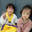 용인대 다정태권도 | 처음 가본 옥정태권도 유치부 수업에 빠져든 이야기