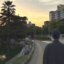 에이스유통 이미지