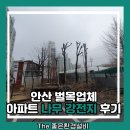한국전력공사 광명지점 | 안산 벌목업체 아파트 나무 강전지 후기