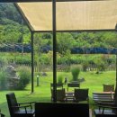 러스틱문 이미지