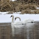 여주-1013 이미지