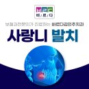 바르다 김인주 치과의원 | 전주사랑니발치 치과 꼭 빼야 할까요