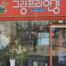 그랑프리안경콘택트신길점 | 데일리렌즈 고민 끝! 정착 후기 그랑프리안경 신풍역점