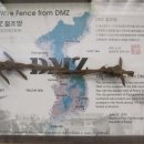 넝쿨다방 이미지