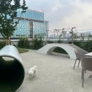 현대파크 | 다산 현대프리미엄아울렛 스페이스원 ‘흰디하우스’ 펫파크｜남양주 무료 애견놀이터 솔직후기 🐶