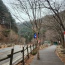 [경기둘레길 가평 20코스] 용추계곡, 용추구곡, 71-4번버스, 자라섬, 가평역, 와룡추 뜻, 승안리 도보...