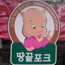 땅끝포크 이미지