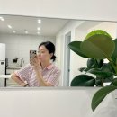 카메라빌리지 | 광주신상숙소 추천, 동명동 충장로 ACC 가까운 광주에어비앤비 라곰빌리지 후기