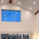 제주애빛나다