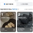 봄이 아빠의 댕댕이 간식 | [2026] 2월 (오픽 시험, 왕사남, 그 외 다수,,,)