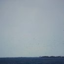 서림연대 이미지