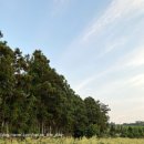 스테이 감도 | 제주도 감성 독채 자쿠지 숙소ㅣ안목스테이 안목5감도