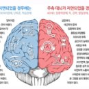 튼튼아이태권도 이미지