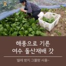 돌산농장 이미지