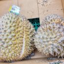 백과아시아마트 이미지