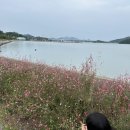 뚱보 고양이 | 뚱보를 지켜보는 뚱뚱보