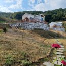 별그림민박 이미지