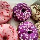 방범용CCTV-A23 | 코스트코 필수템 닭갈비 드디어 득템 소금빵대신에 도넛 미니크로닷 발뮤다