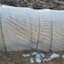 횡성양계 이미지