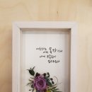 일리아뚜