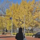 미현농장 | 자기야 나는 너를 매일 다른 이유로 더 사랑했었고