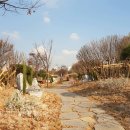 오산천 이미지
