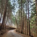 방장산민박