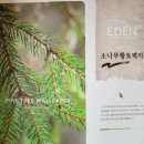 초목한의원 이미지