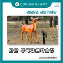 씨유 부곡푸른점 | 안산 미니수목원 부곡자연학습장, 12월 방문 후기 ｜ 아이랑 걷기 좋은 안산 산책코스