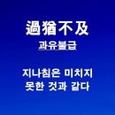 과유불급? 이미지