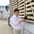 보성상사 이미지