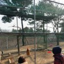 경산시립박물관 이미지