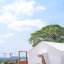 제주야자수정원수영장 올레돔 감성독채숙소 이미지