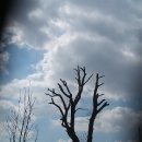 그늘과 빛의 기억  이미지