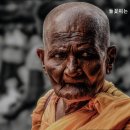 들꽃요양원 이미지