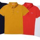 크로커다일 이미지