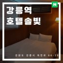 솔빛길가든 | 강릉 뚜벅이 여행 솔빛 1인 호텔 에어비앤비 가성비 숙소 추천