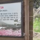 제774차 창원 천주산 산행후 마산 어시장경유 이미지