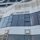 누에종 | 영종도 구읍뱃터 브런치 카페 '누에종' (nouaison) 간단후기