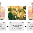 웰스피부과