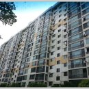 가락우리치과의원 이미지