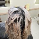 동백살롱 | 믿고 다니는 동백미용실 ! 리은살롱 용인동백점 만족 후기 :)