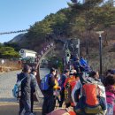 금산수삼센타 Daum카페