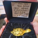 금거북 이미지