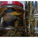 보현산 약초마을 이미지