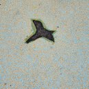 1주공아파트 놀이시설 이미지