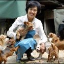 천사 애견 이미지