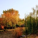 부평공원 이미지